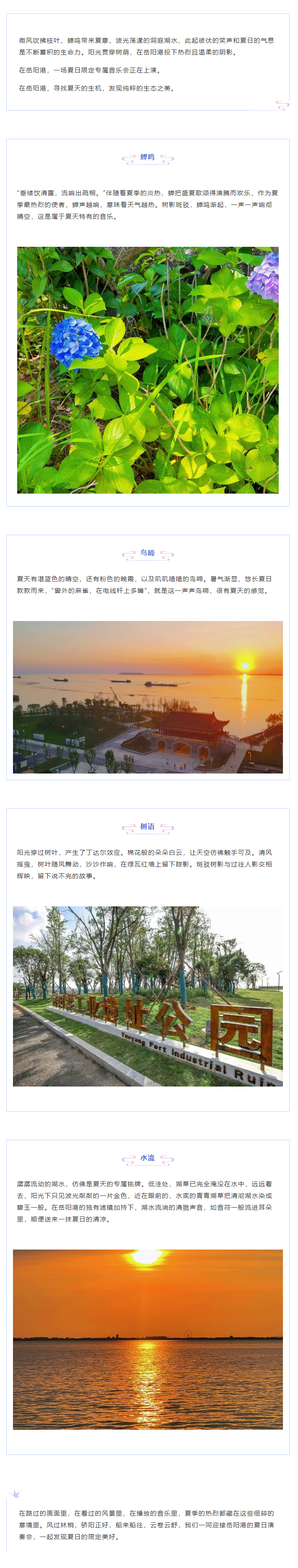 【夏日演奏會(huì)】在岳陽(yáng)港，聆聽(tīng)夏天的聲音.png